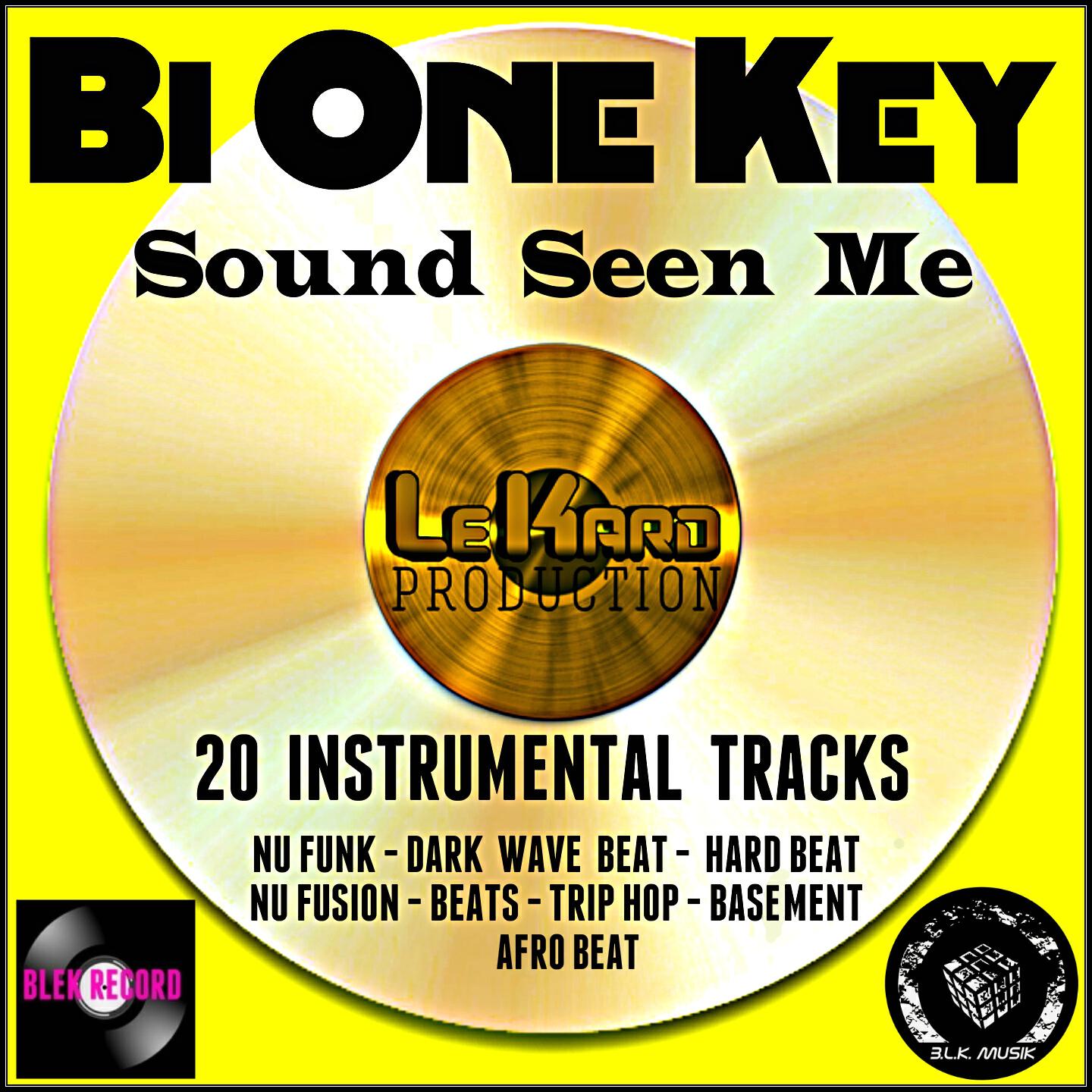 Bi One Key - Jazz Ice (Nu Fusion)