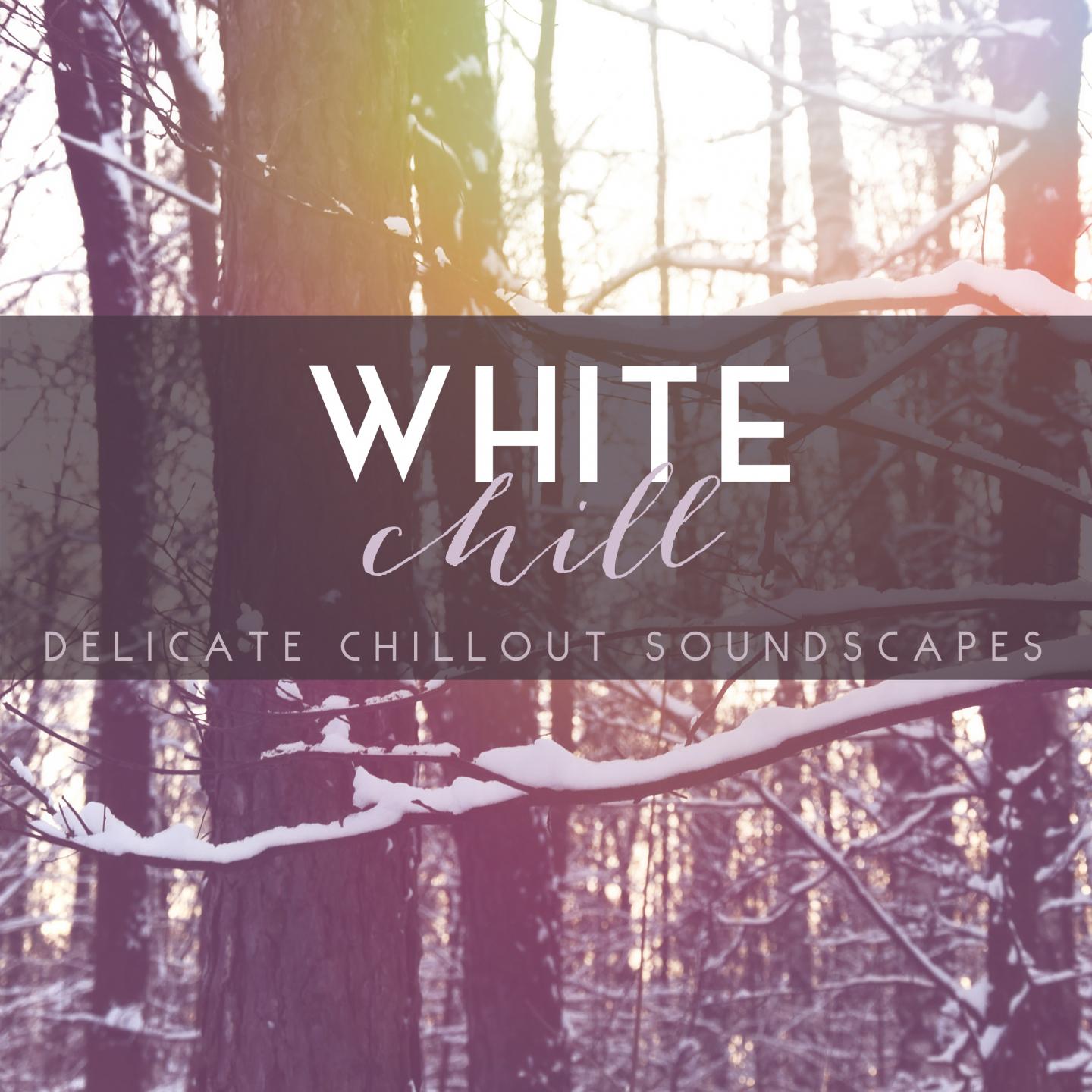 Постер альбома White Chill: Delicate Chillout Soundscapes