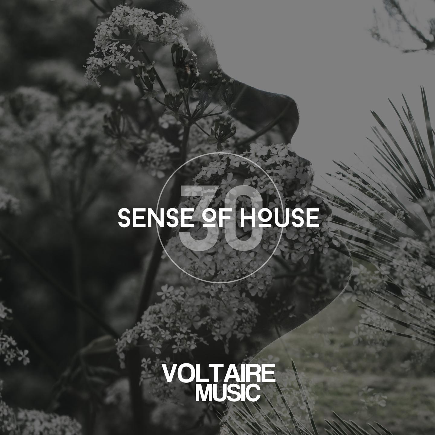 Постер альбома Sense of House, Vol. 30