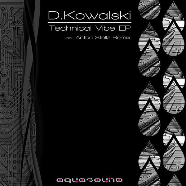 D.Kowalski - Technical Vibe (Anton Stellz Remix)