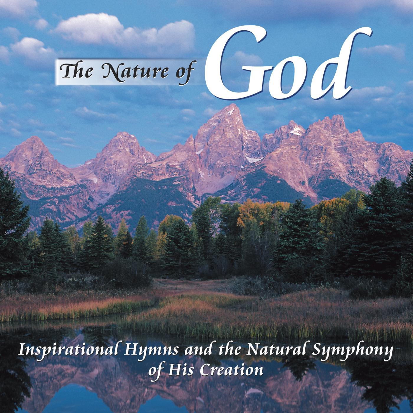 Tim Heintz - Amazing Grace