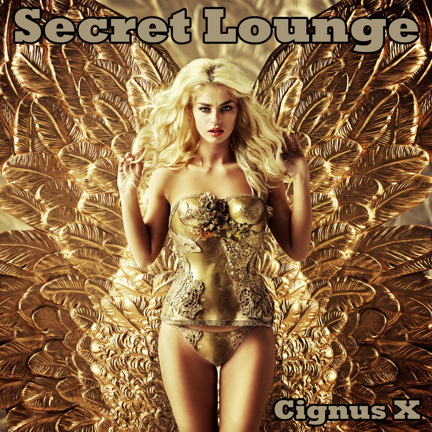 Постер альбома Secret Lounge