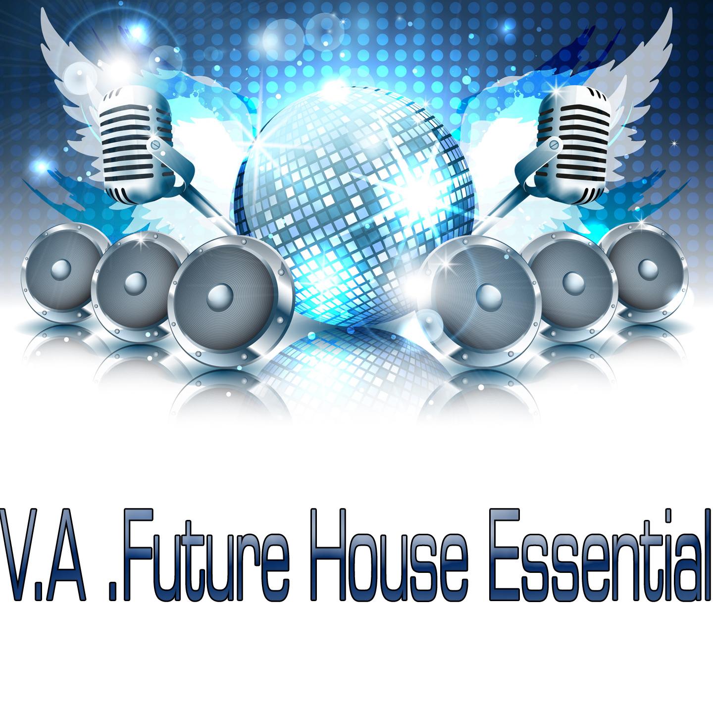 Постер альбома Future House Essential