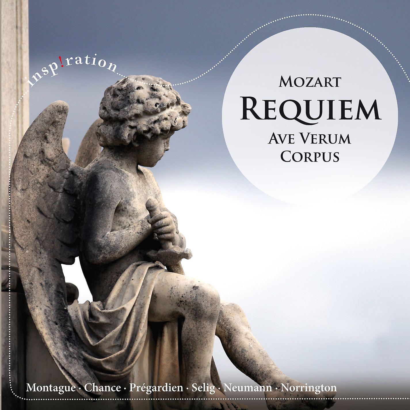 Постер альбома Mozart: Requiem / Ave verum corpus / Maurerische Trauermusik
