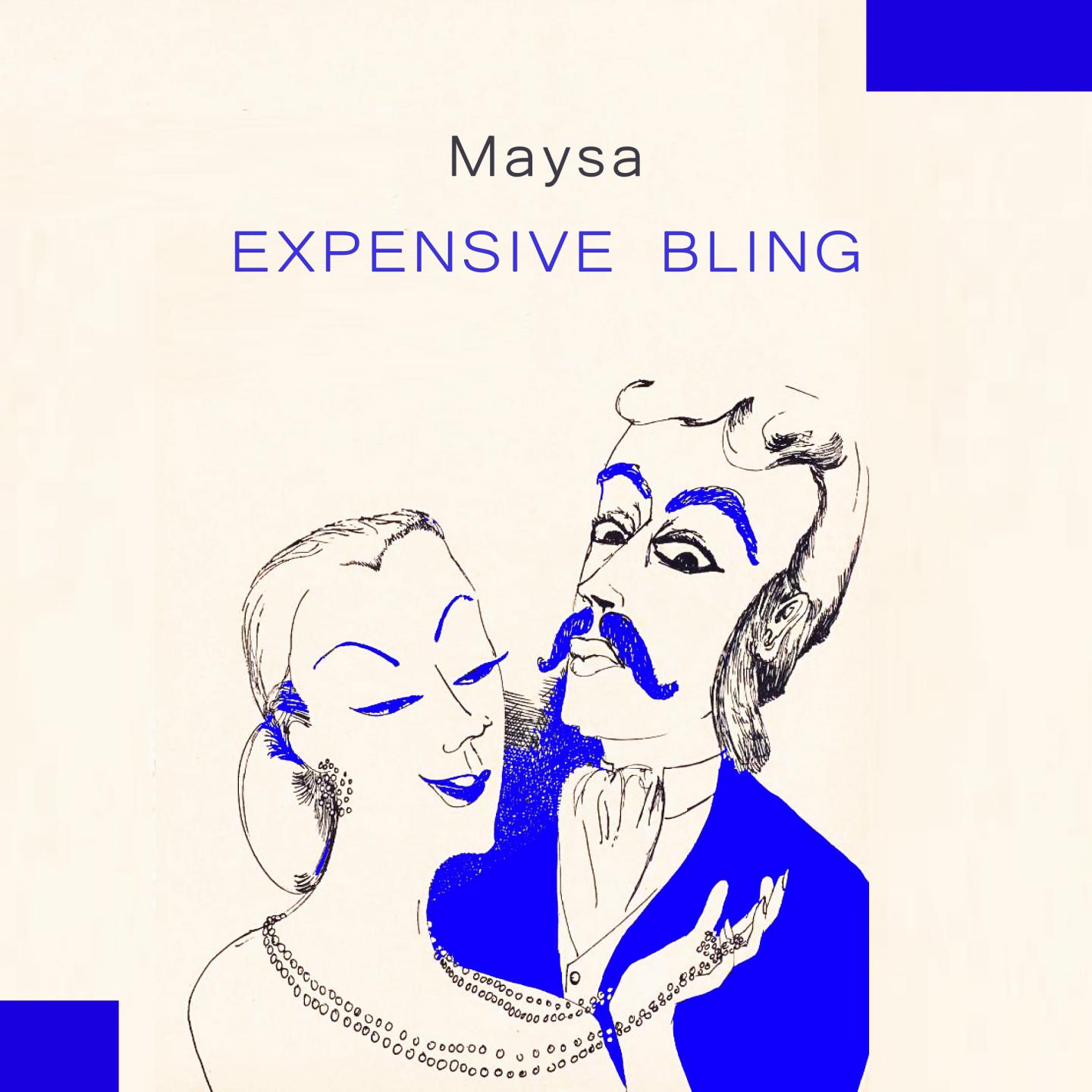 Постер альбома Expensive Bling