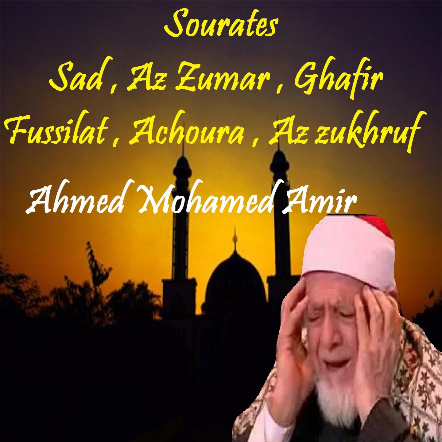 Постер альбома Sourates Sad , Az Zumar , Ghafir , Fussilat , Achoura , Az zukhruf