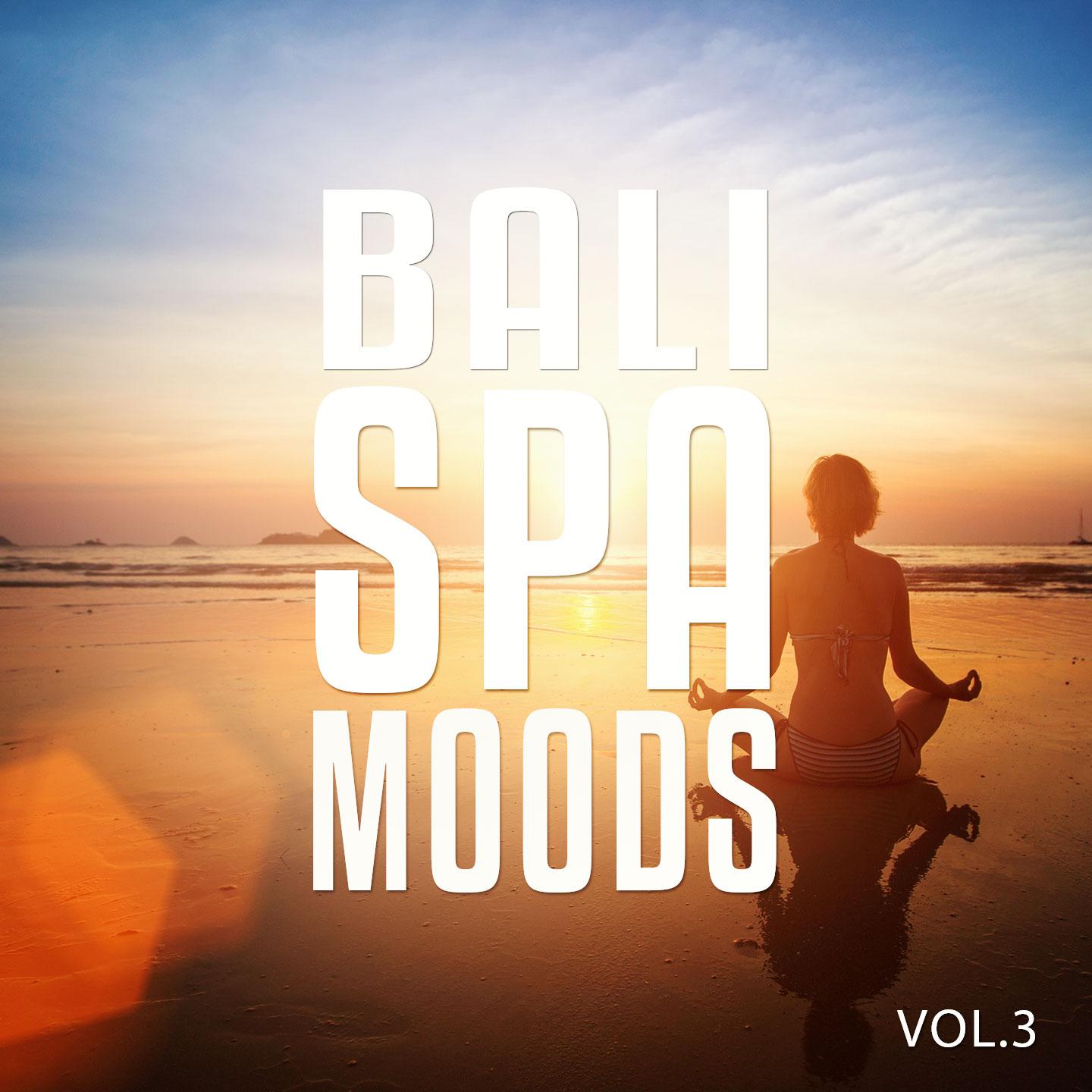 Постер альбома Bali Spa Moods, Vol. 3