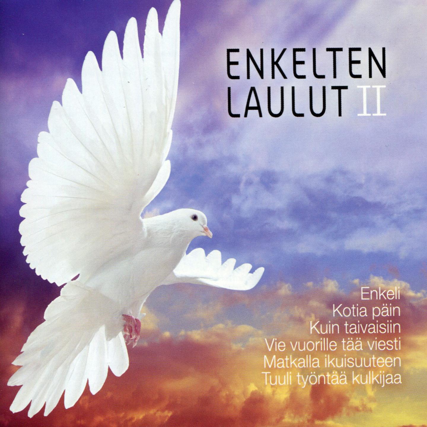 Постер альбома Enkelten Laulut 2