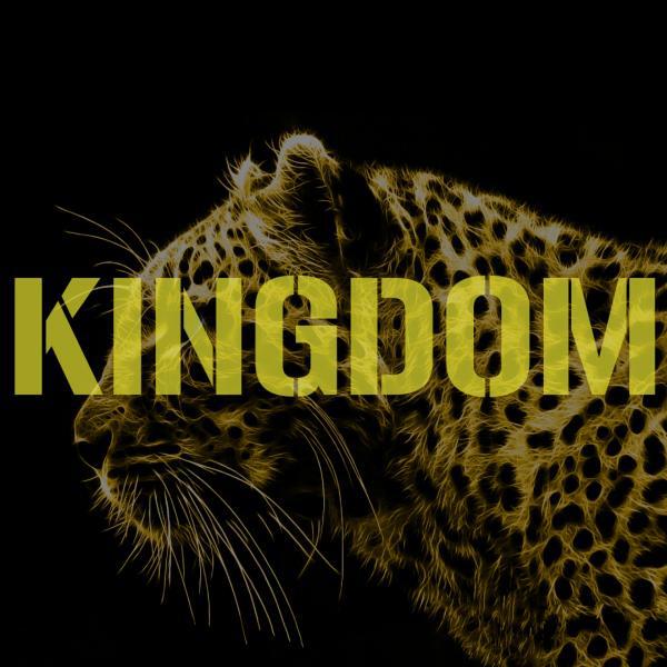 Ill-iteracy - Kingdom