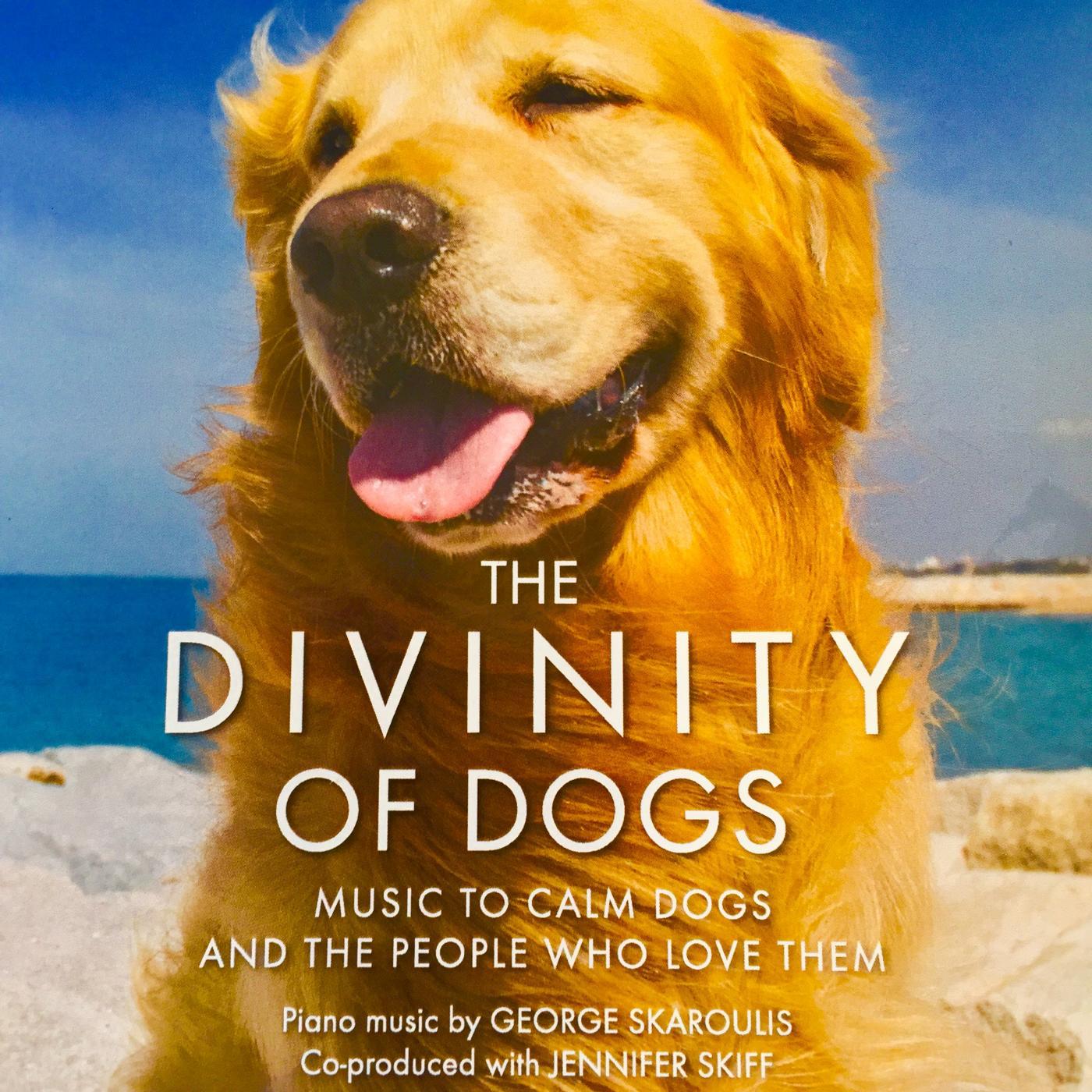 Постер альбома The Divinity of Dogs