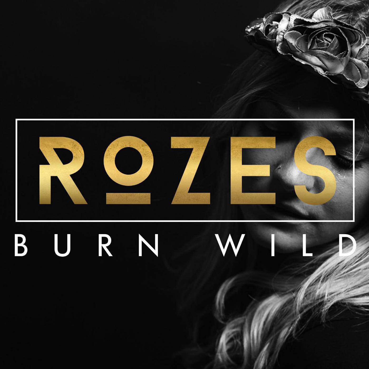 Постер альбома Burn Wild