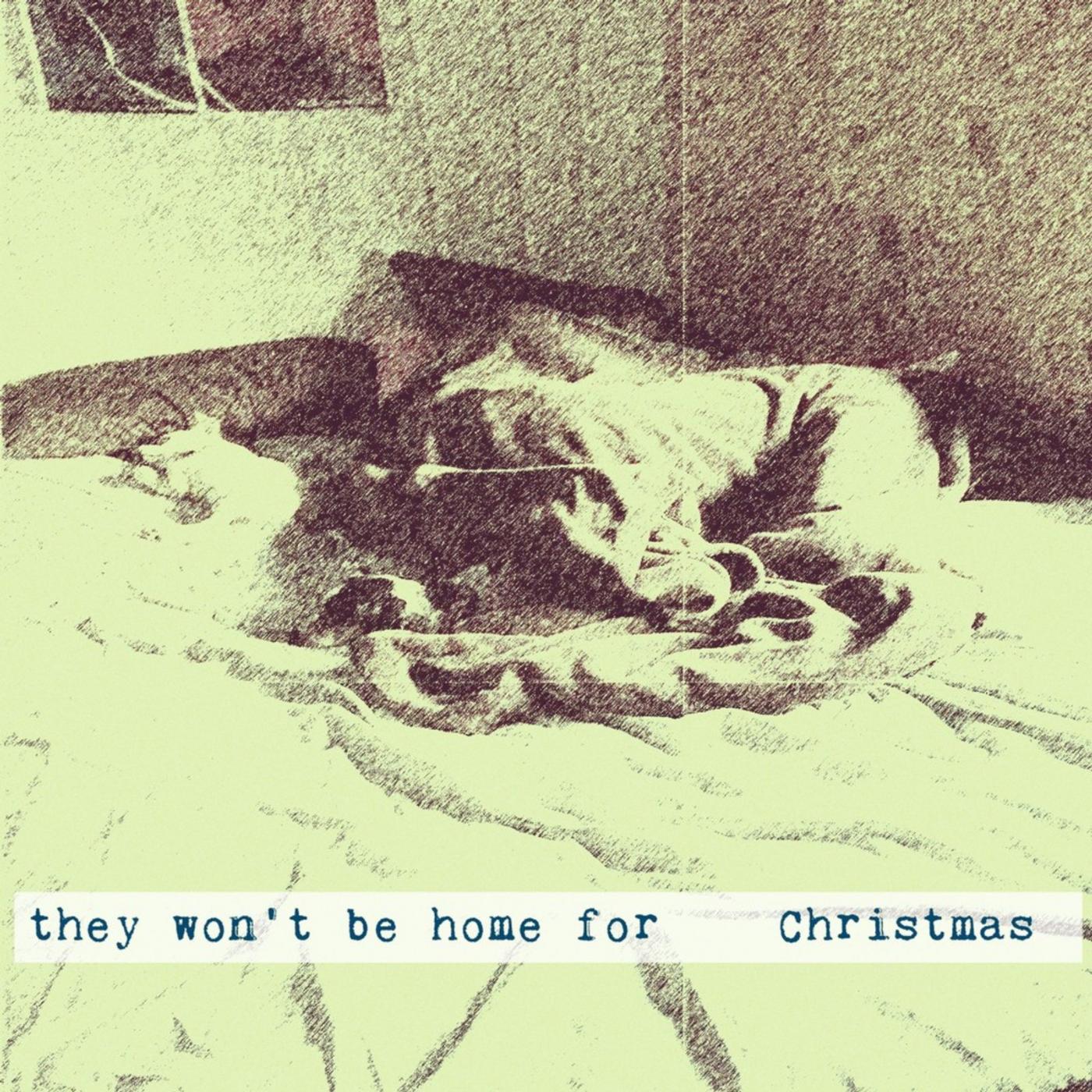 Постер альбома They Won't Be Home for Christmas