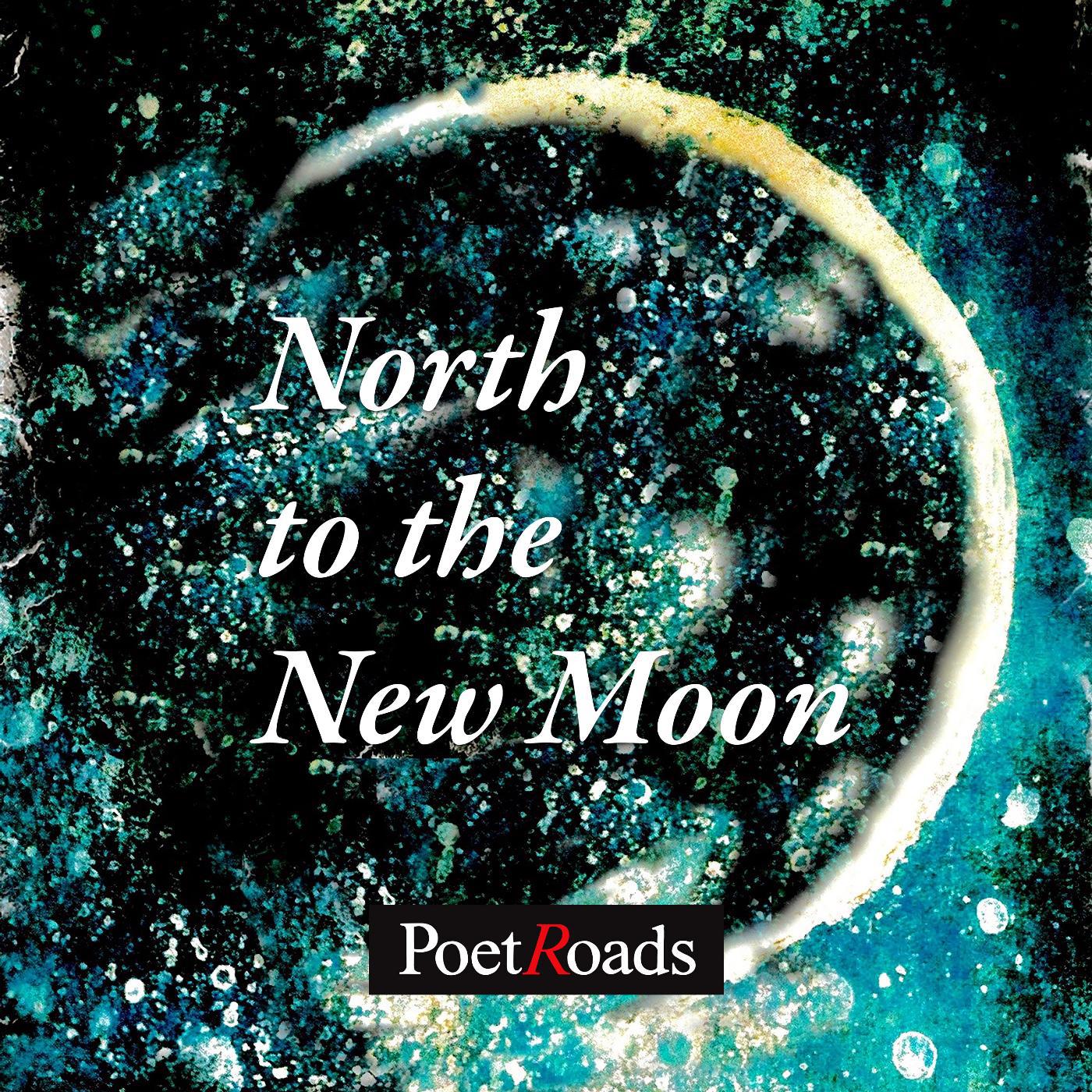 Постер альбома North to the New Moon (feat. Christina Apostolopoulos & Noah Bruskin)