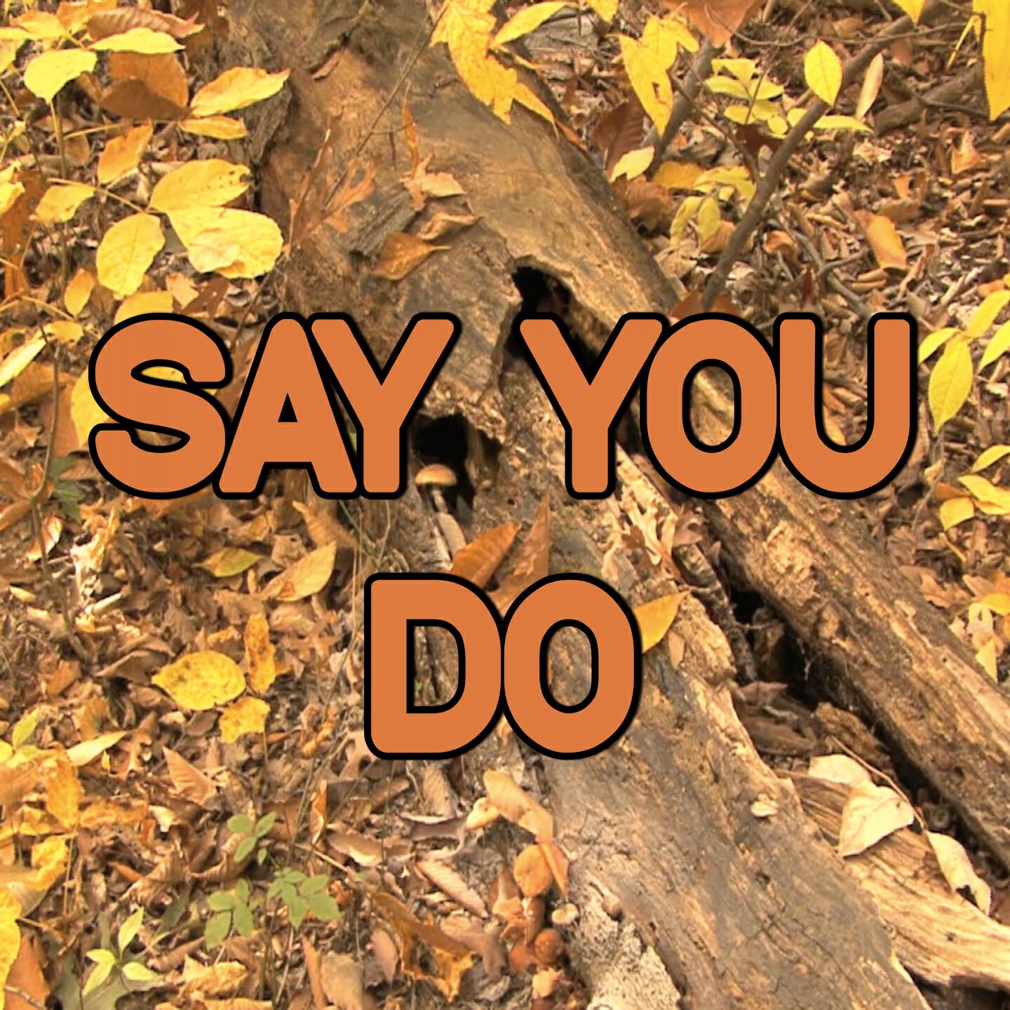 Swift Hits - Say You Do - Tribute to Sigala and Imani, DJ Fresh (Instrumental Version)