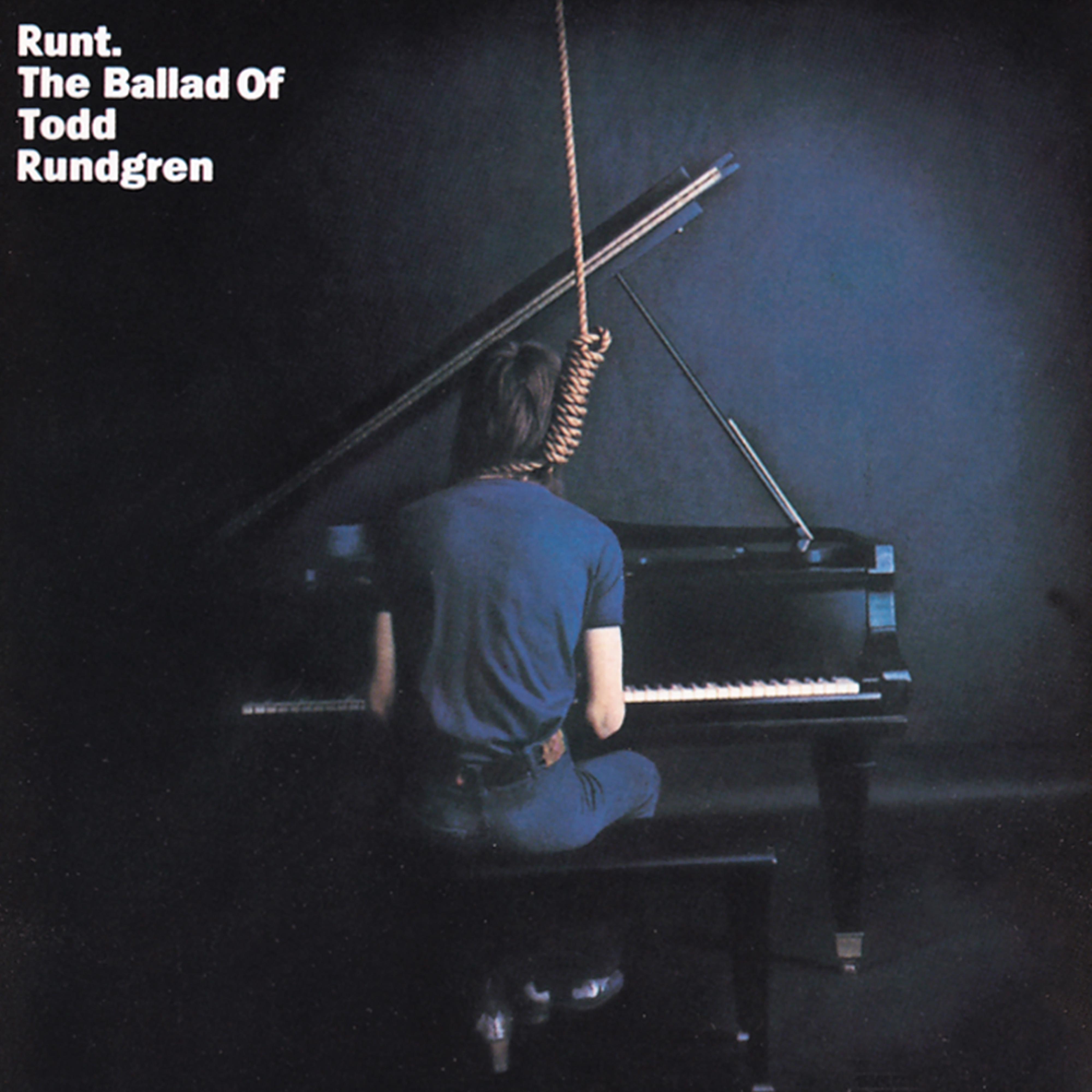 Постер альбома Runt: The Ballad of Todd Rundgren