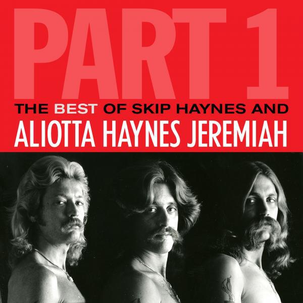 Skip Haynes - One Night Stand