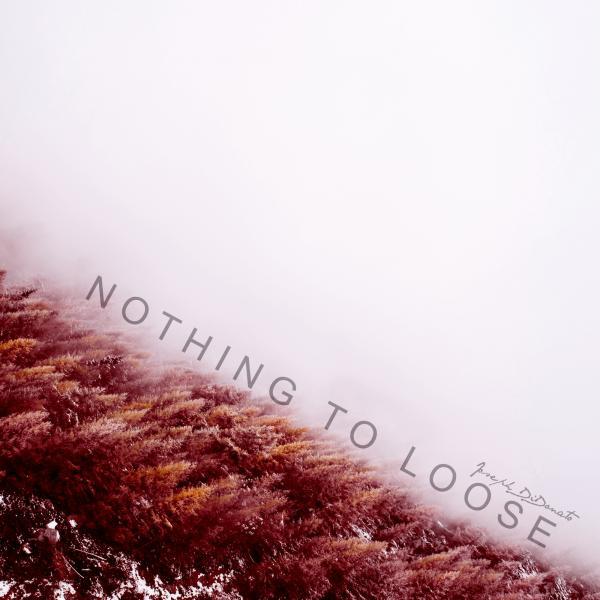 Постер альбома Nothing to Loose