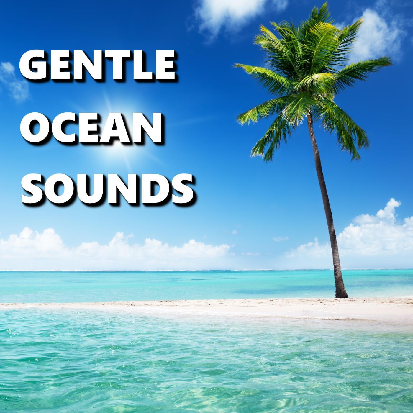 Deep Sleep - Complex Coastal Beach Sounds