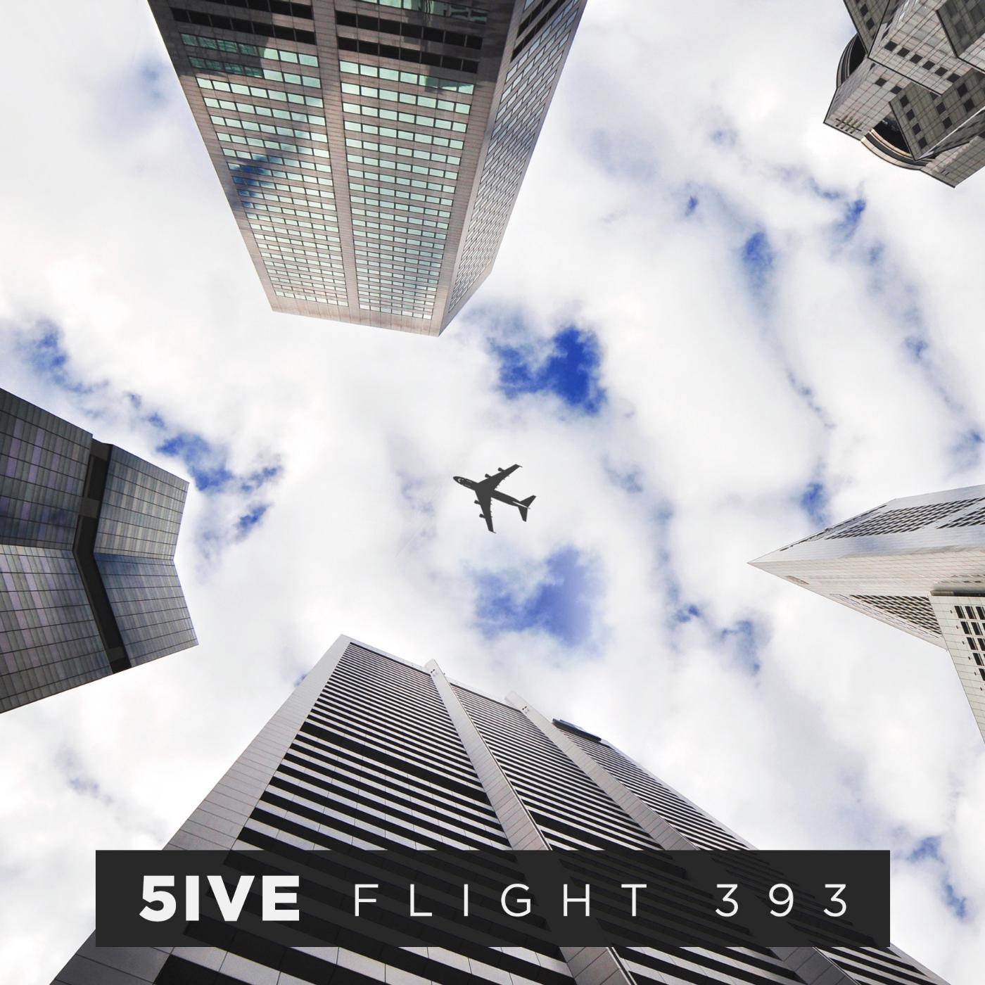 Постер альбома Flight 393