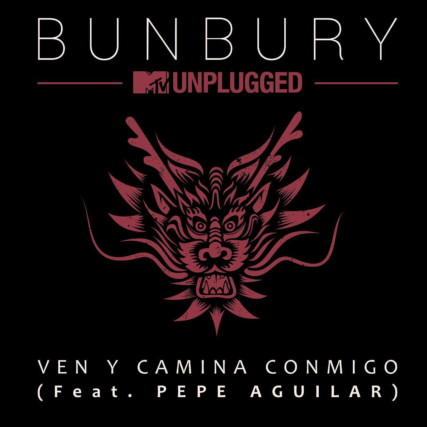 Постер альбома Ven y camina conmigo (feat. Pepe Aguilar) [MTV Unplugged]