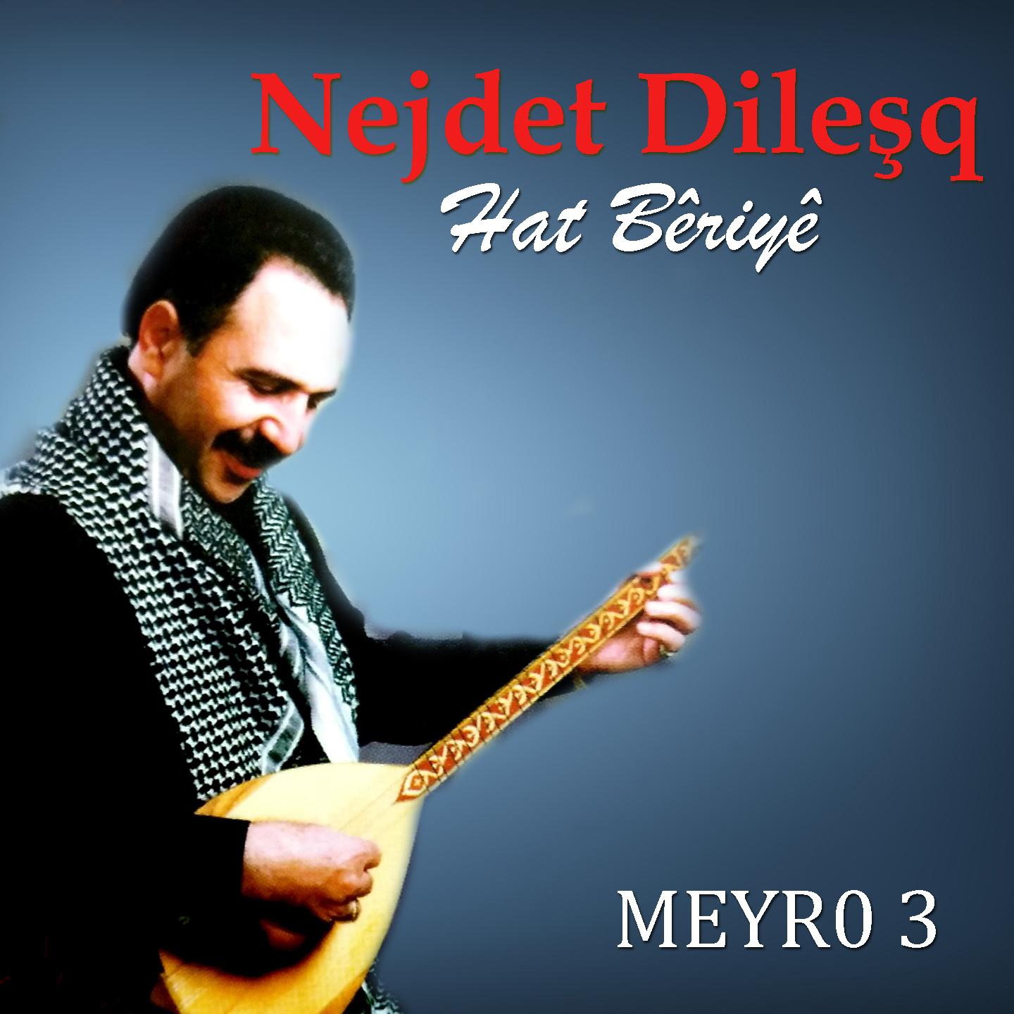 Постер альбома Hat Bêriyê (Meyro 3)