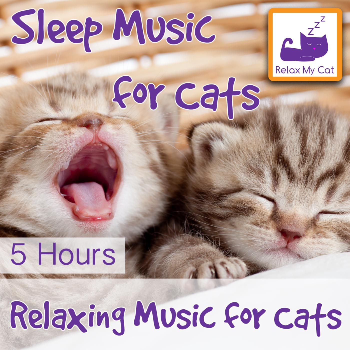 RelaxMyCat - Soothing Cat Music