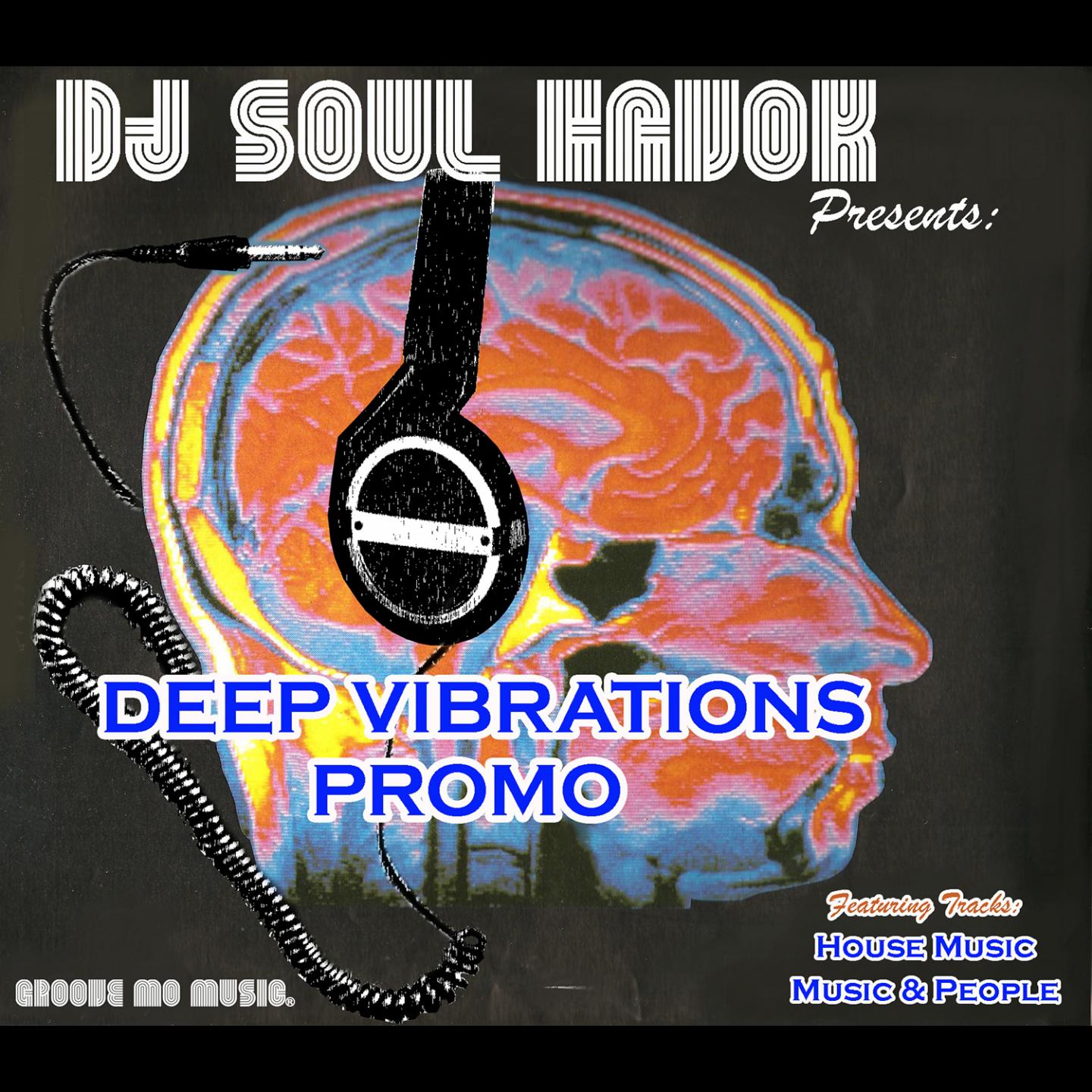 Постер альбома Deep Vibrations Promo