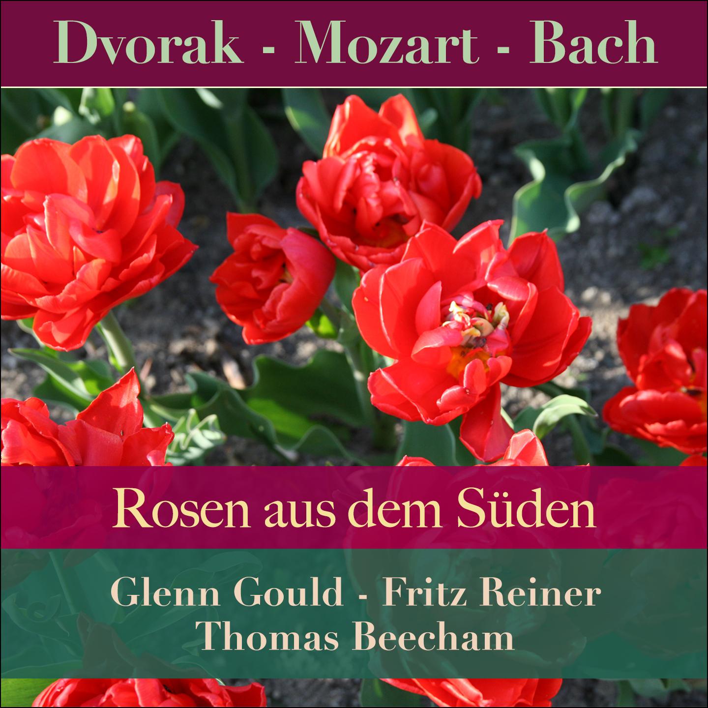 RIAS Symphonie-Orchester Berlin - Rosen aus dem Süden in D Major, Op. 388