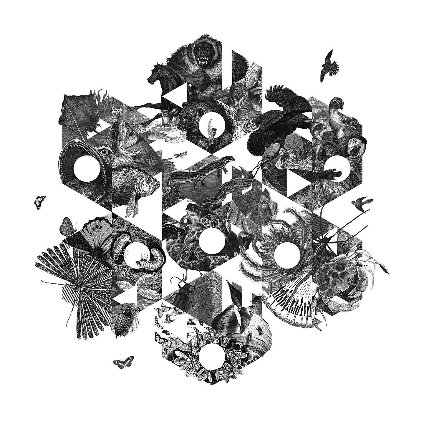 TapeOut - Around the Chords