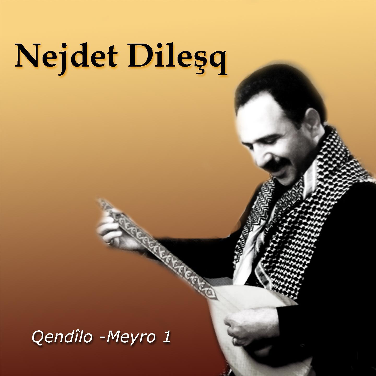 Постер альбома Qêndilo / Meyro, Vol. 1