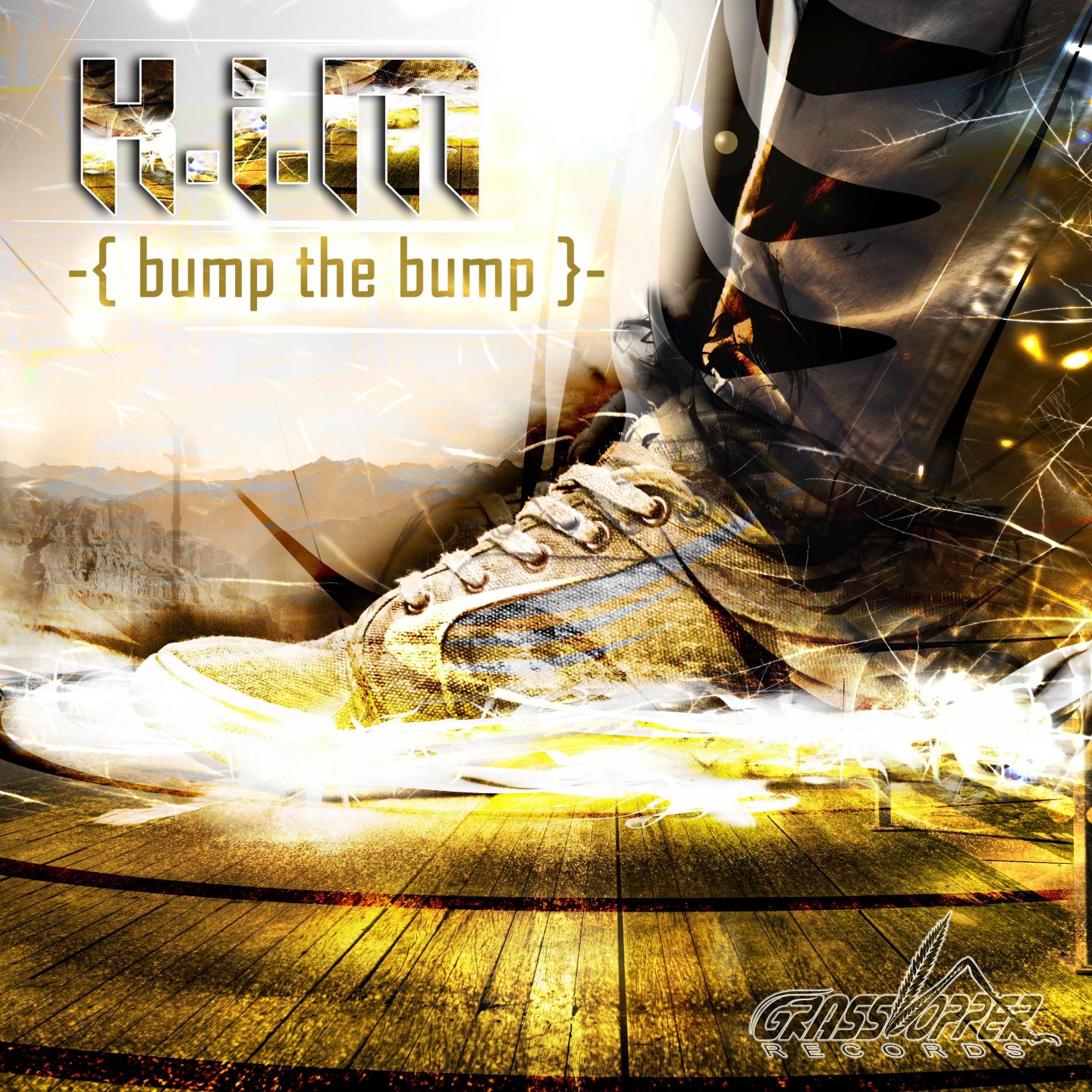 Постер альбома Bump the Bump