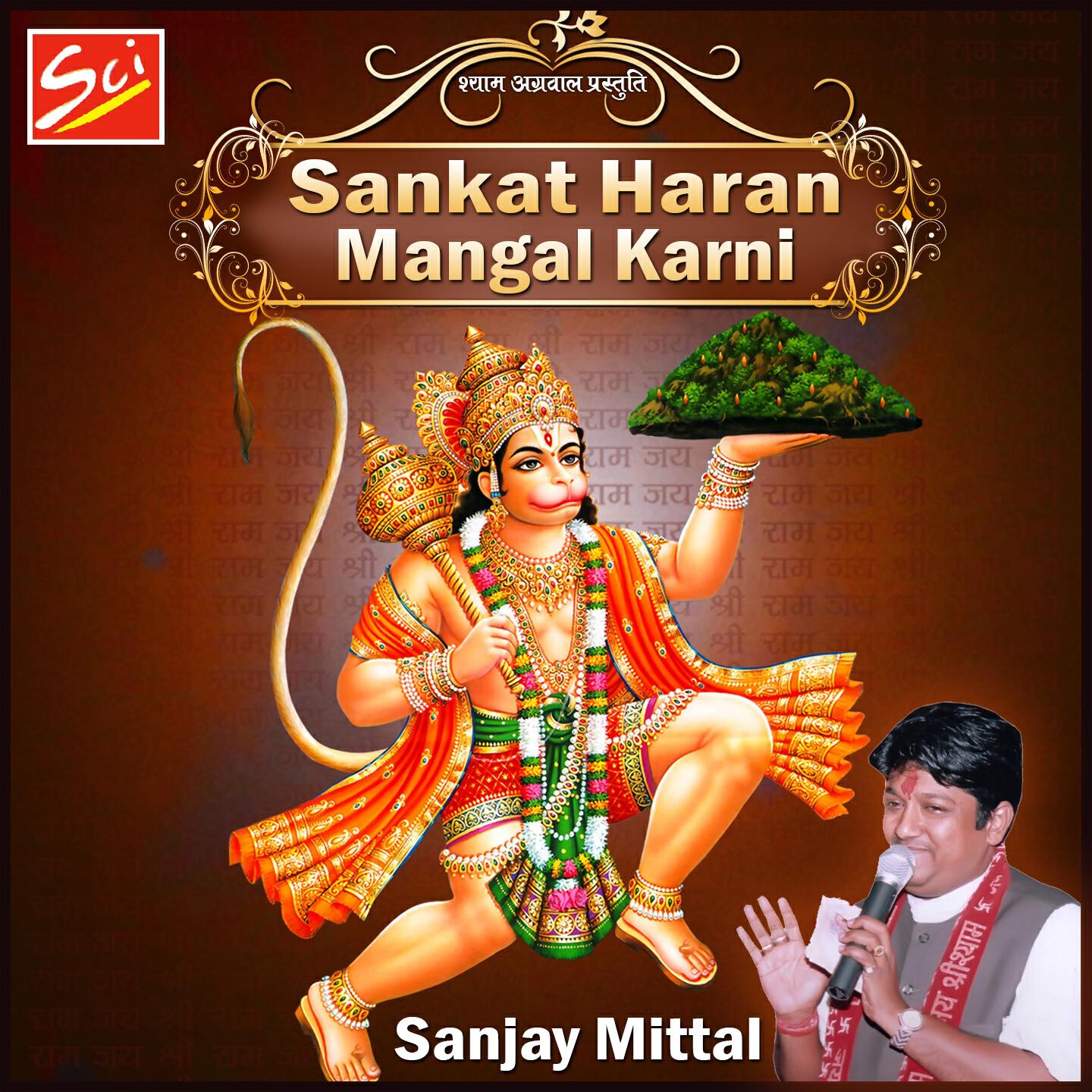 Sanjay Mittal - Narayani Sharnam