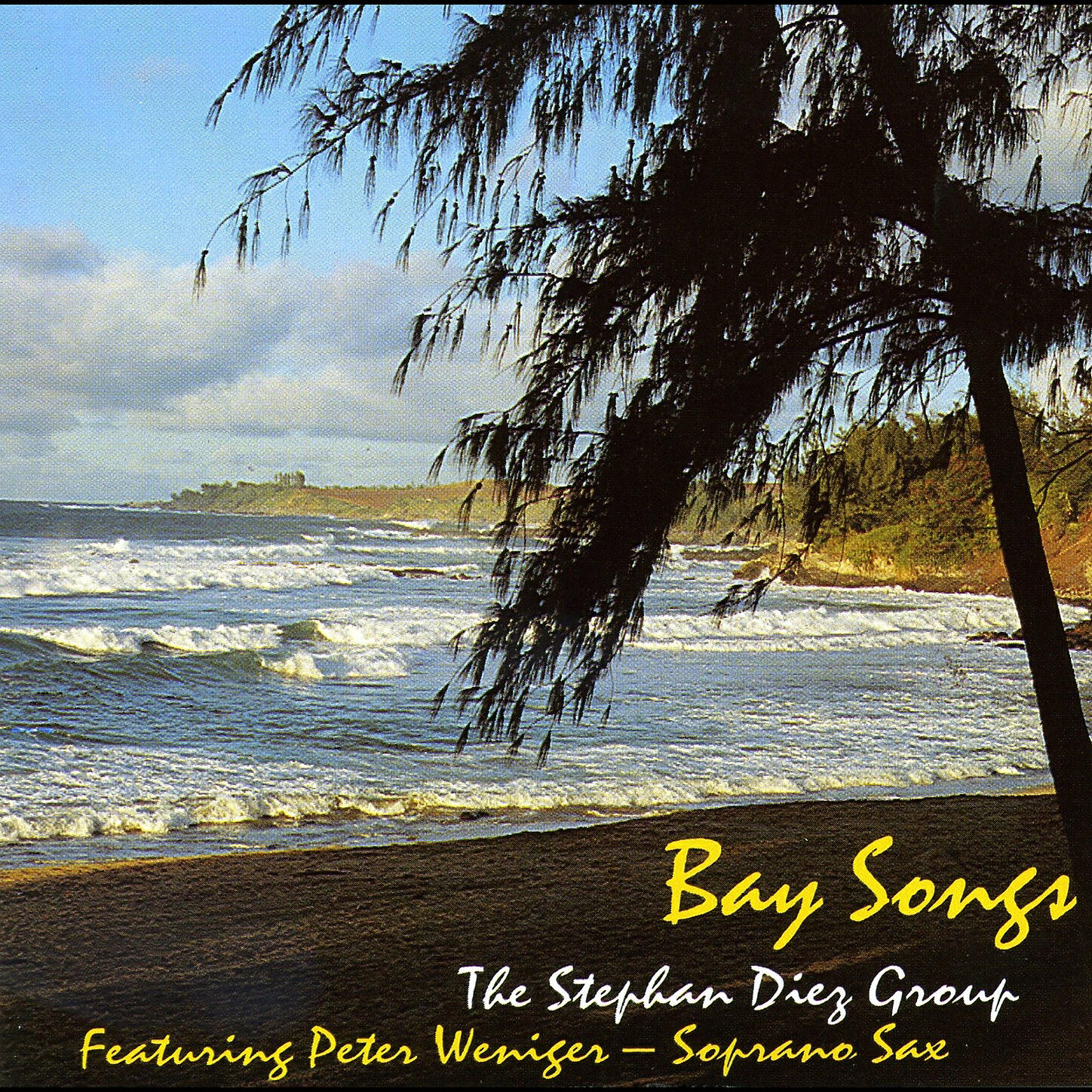 The Stephen Diaz Group & Peter Weniger - Since I Met You