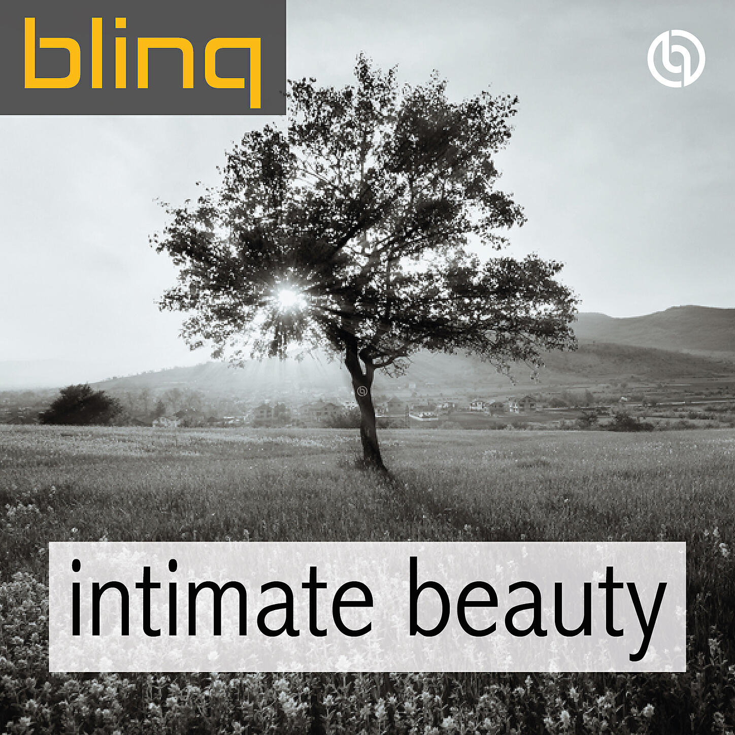 blinq - Glimmering Skies