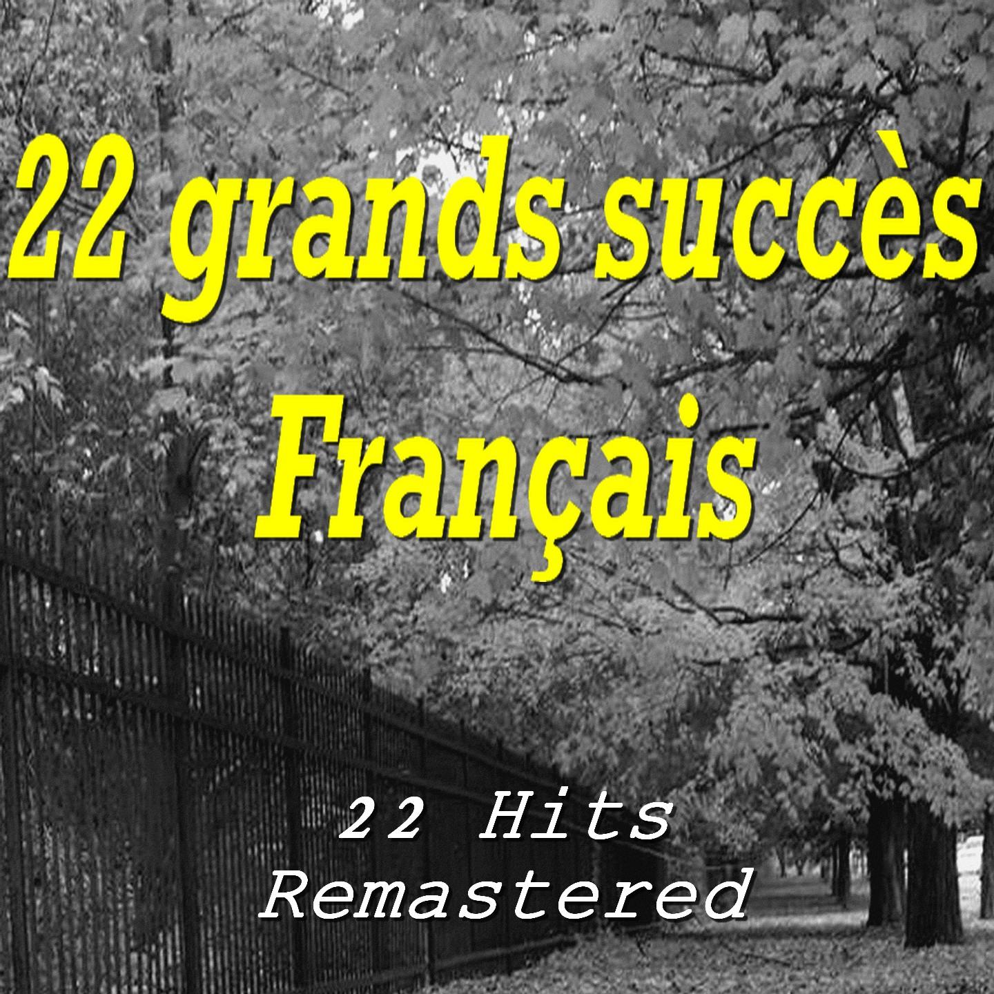 Постер альбома 22 grands succès Français