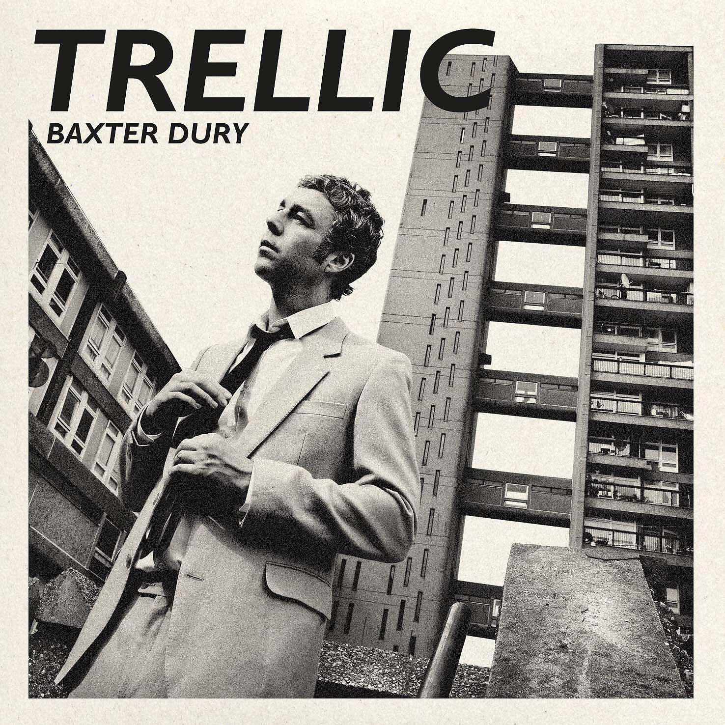 Baxter Dury - Trellic (Instrumental)