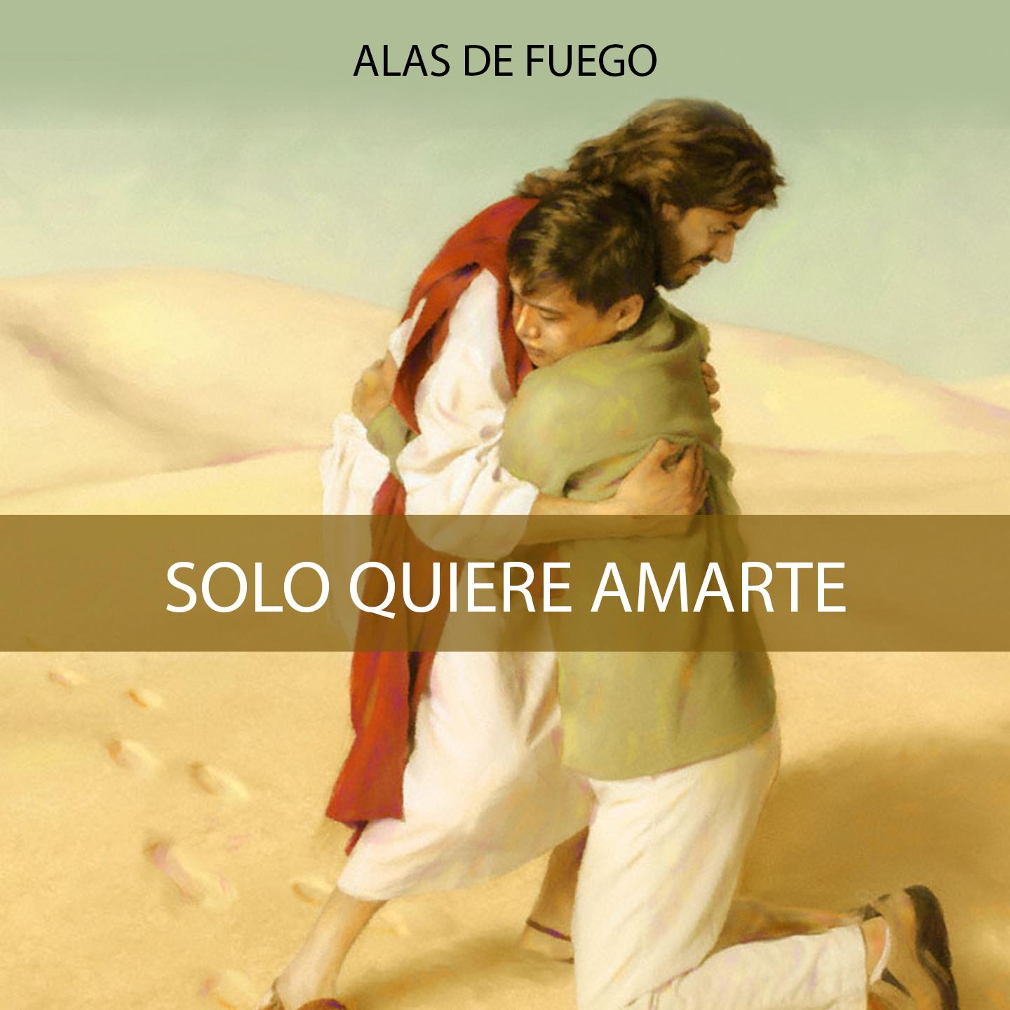 Постер альбома Solo Quiere Amarte