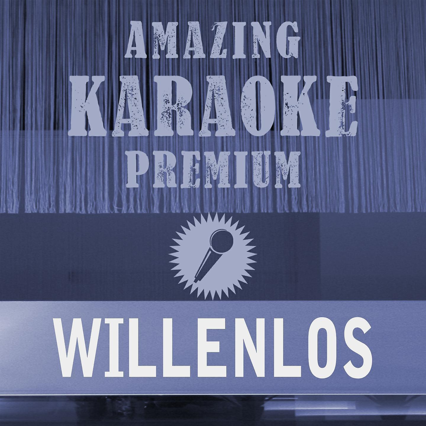 Постер альбома Willenlos (Premium Karaoke Version)