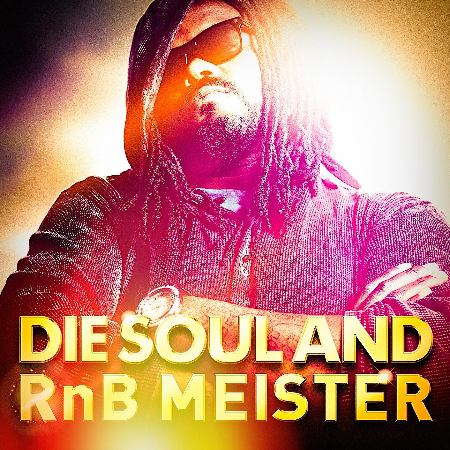 Постер альбома Die Soul and RnB Meister