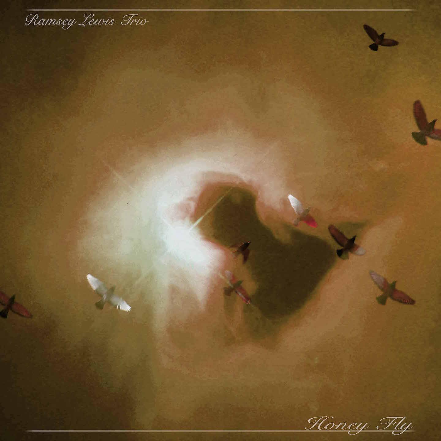 Постер альбома Honey Fly