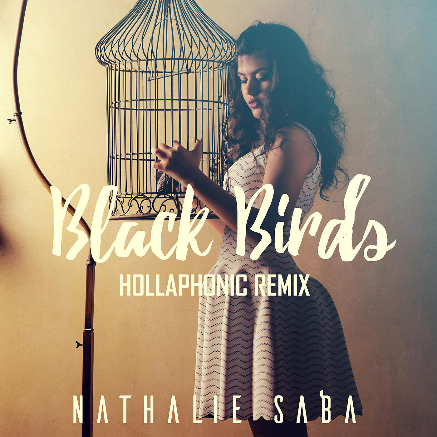 Nathalie Saba - Black Birds (Hollaphonic Remix)