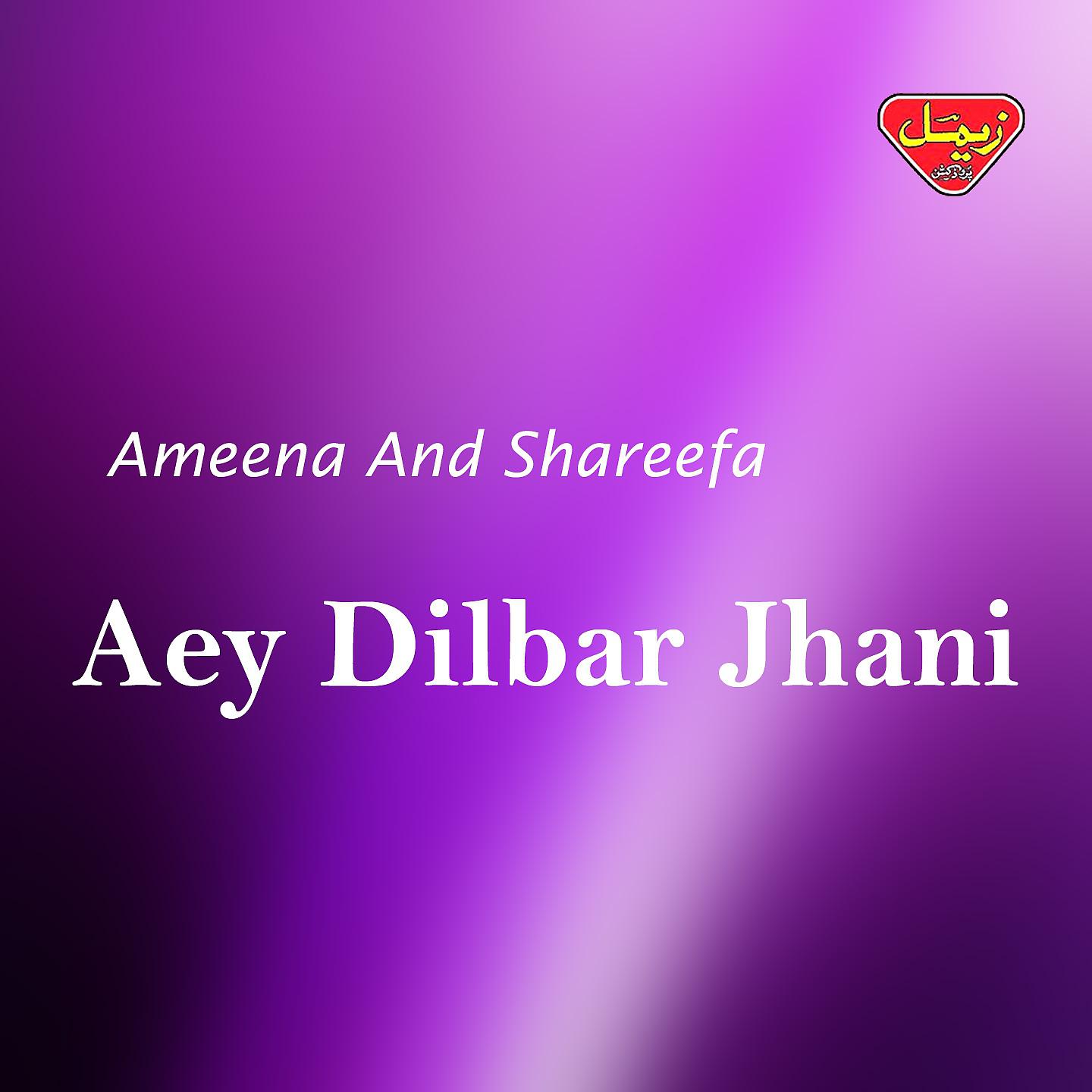 Постер альбома Aey Dilbar Jhani