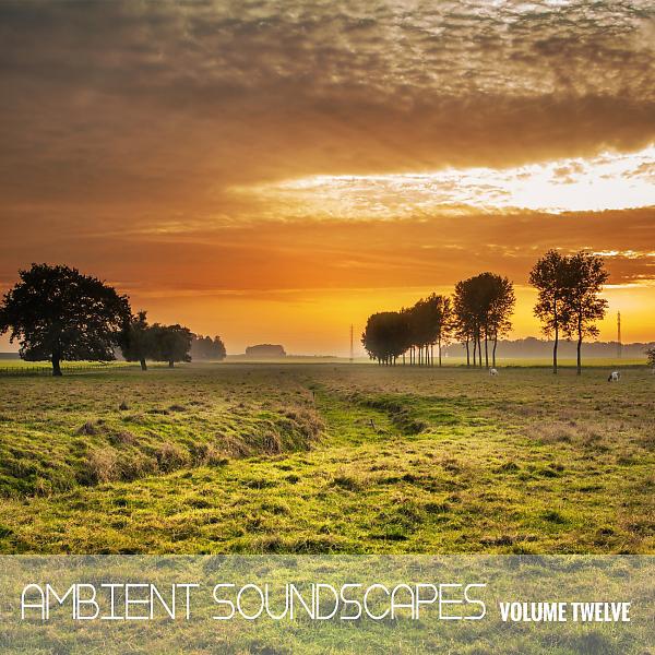 Постер альбома Ambient SoundScapes, Vol. 12