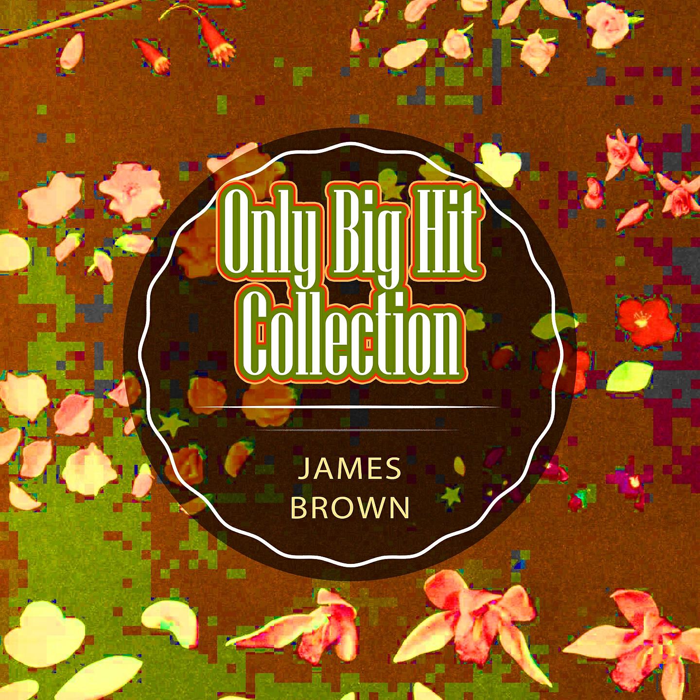 James Brown - Bewildered