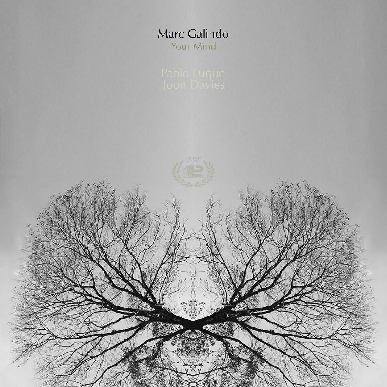 Marc Galindo - Your Mind (Joon Davies Remix)