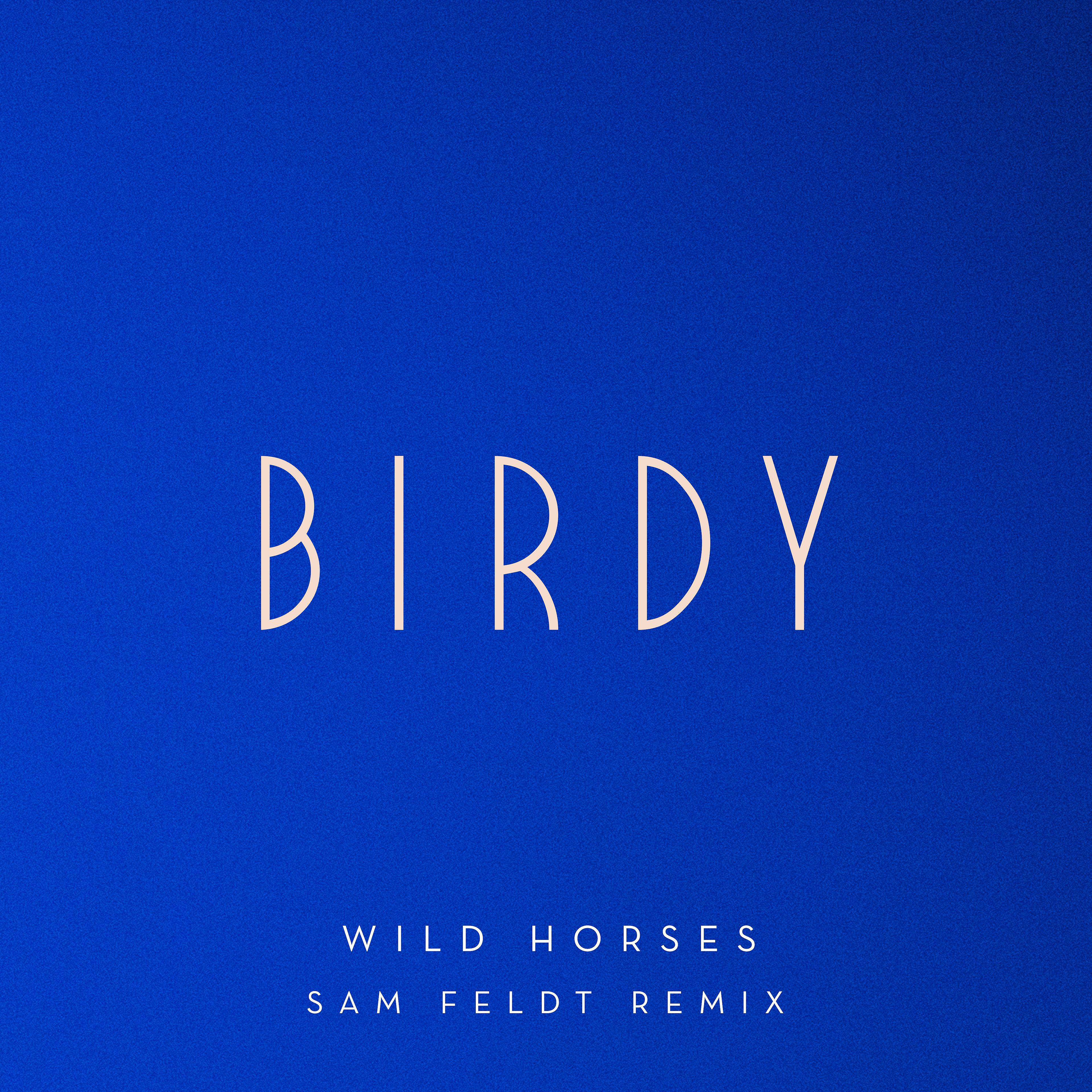 Постер альбома Wild Horses (Sam Feldt Remix)