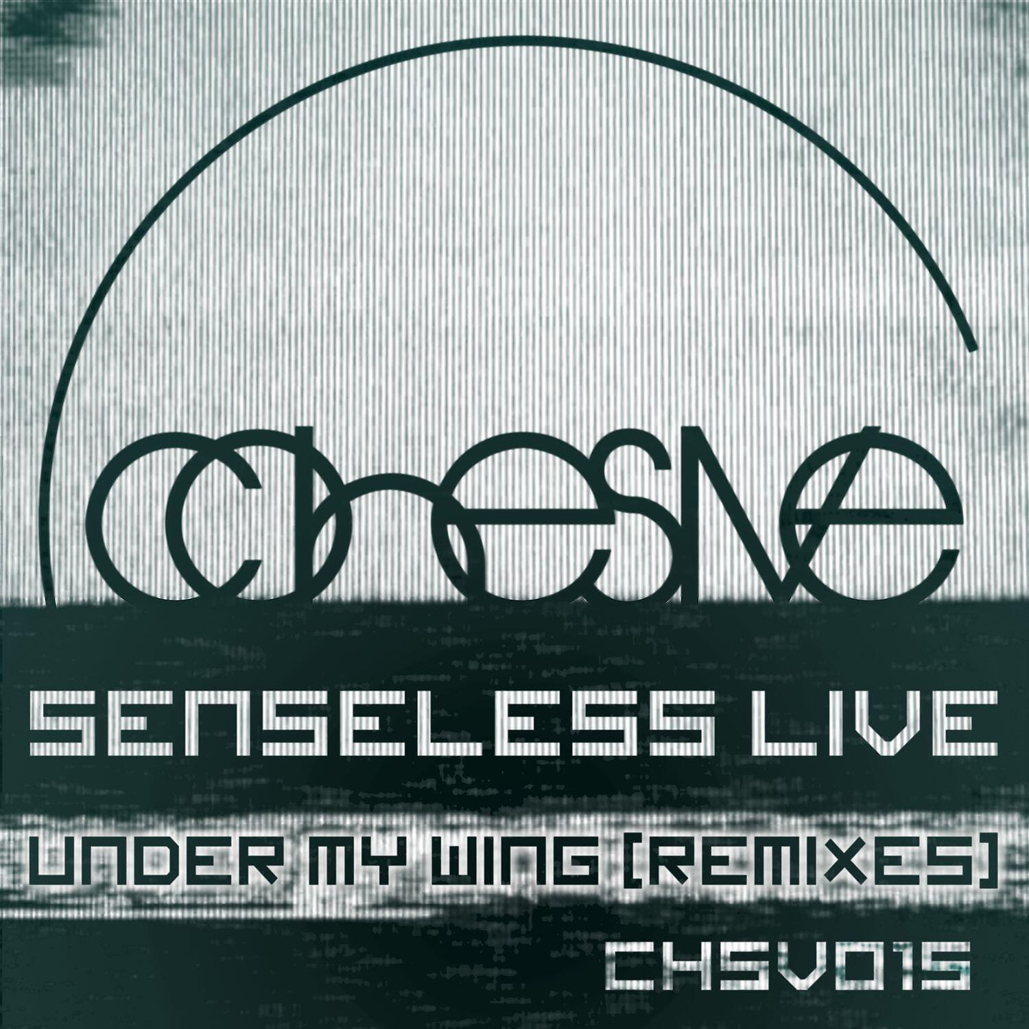 Senseless Live - Sunrise Pilgrum (David Granha Sunset Remix)