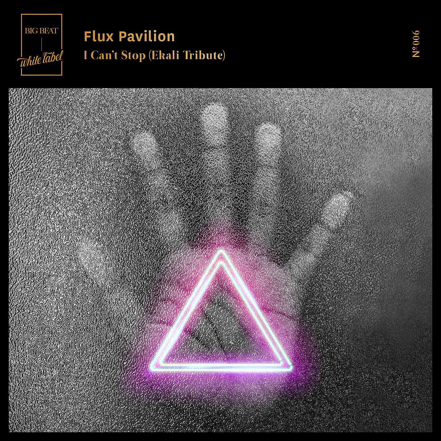 Can t stop. Flux Pavilion i can't stop. Flux Pavilion - i cant stop (Ekali Tribute). I can't stop (Ekali Tribute). Flux Pavilion обложки.