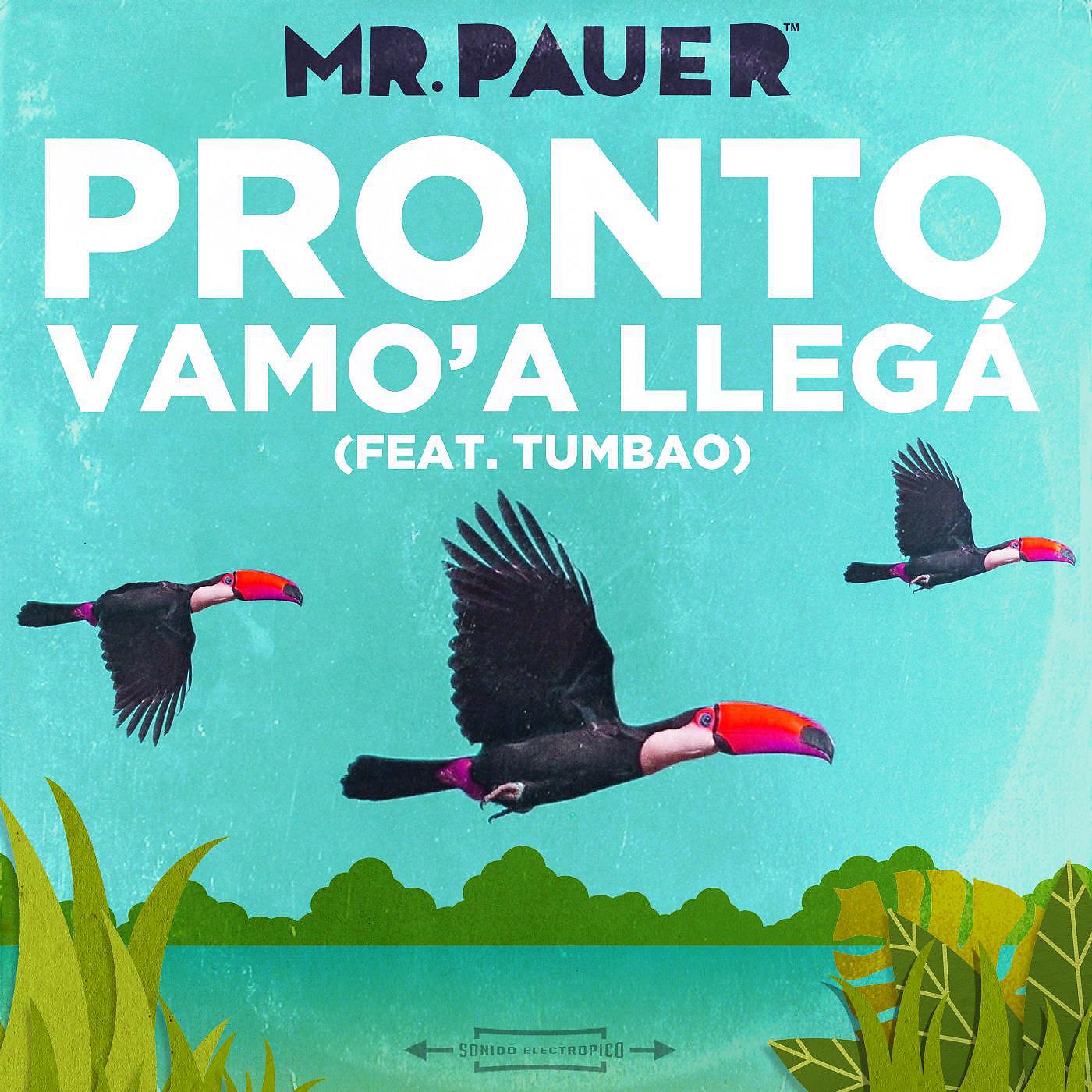 Постер альбома Pronto Vamo'a Llegá (feat. Tumbao)