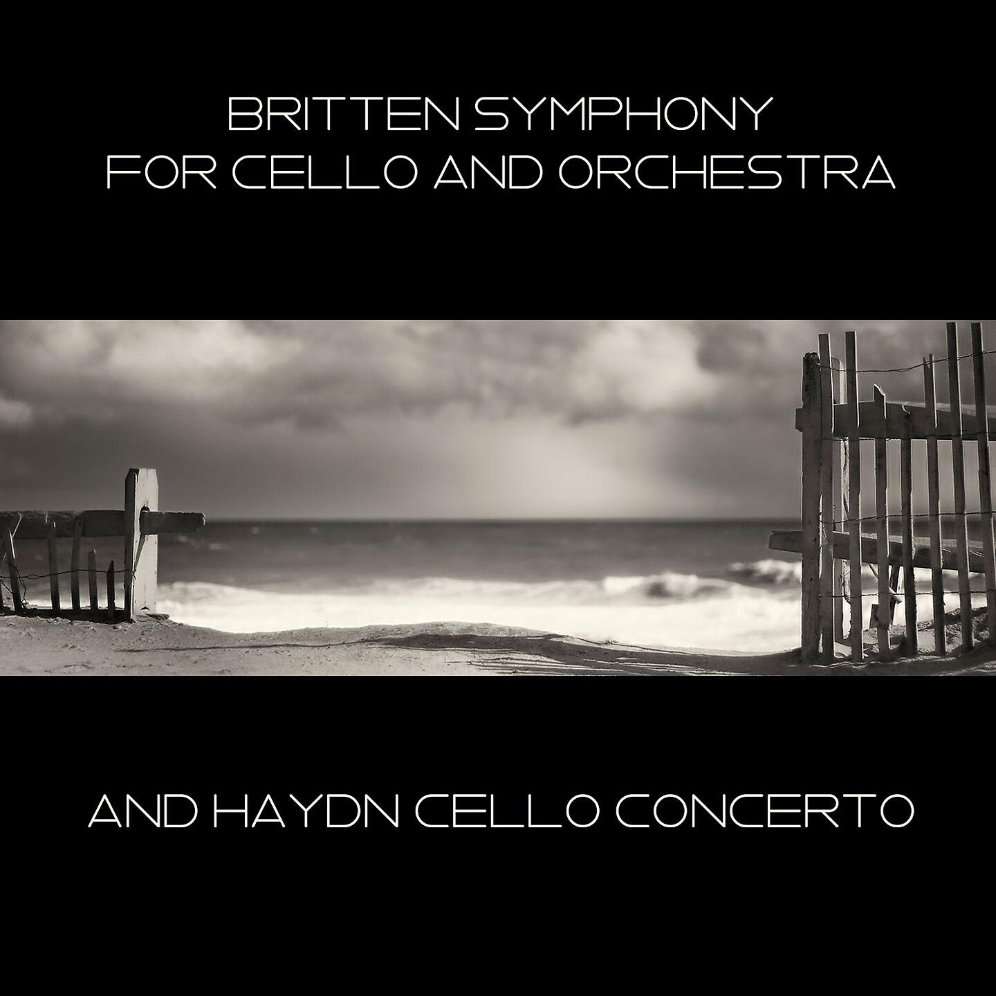 English Chamber Orchestra - Symphony for Cello and Orchestra, Op. 68: IV. Passacaglia